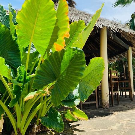 Ltorec Nyali Beach Extérieur photo