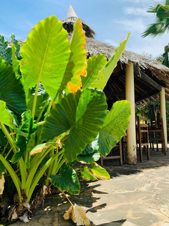 Hotel Ltorec à Nyali Beach Extérieur photo